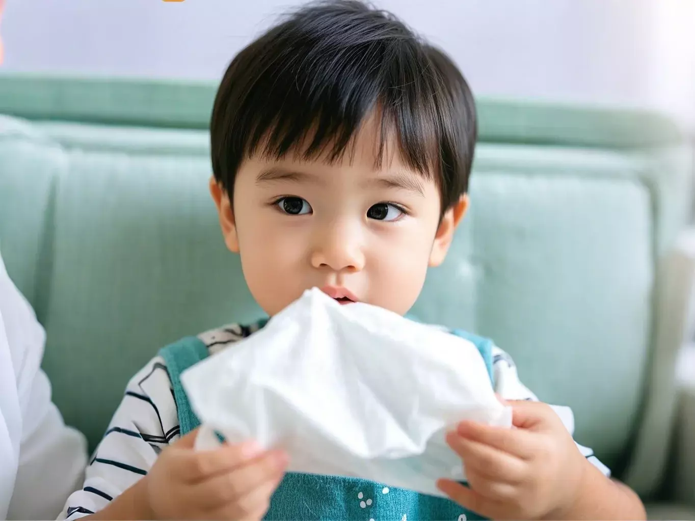 Baby Limbos seco: o cuidado mais gentil do seu bebê!