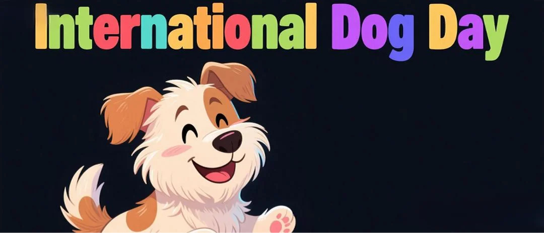 Feliz Dia Internacional do Dog!