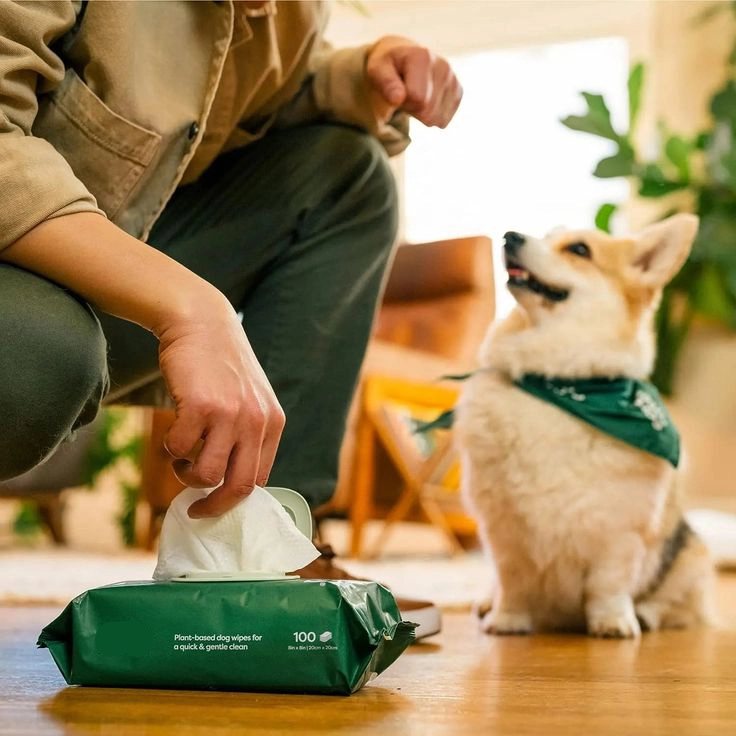 Limpos de limpeza de animais de estimação